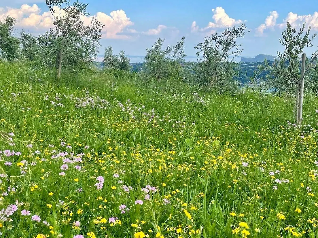 Vakantieboerderij Agriturismo Valsiniga Salò