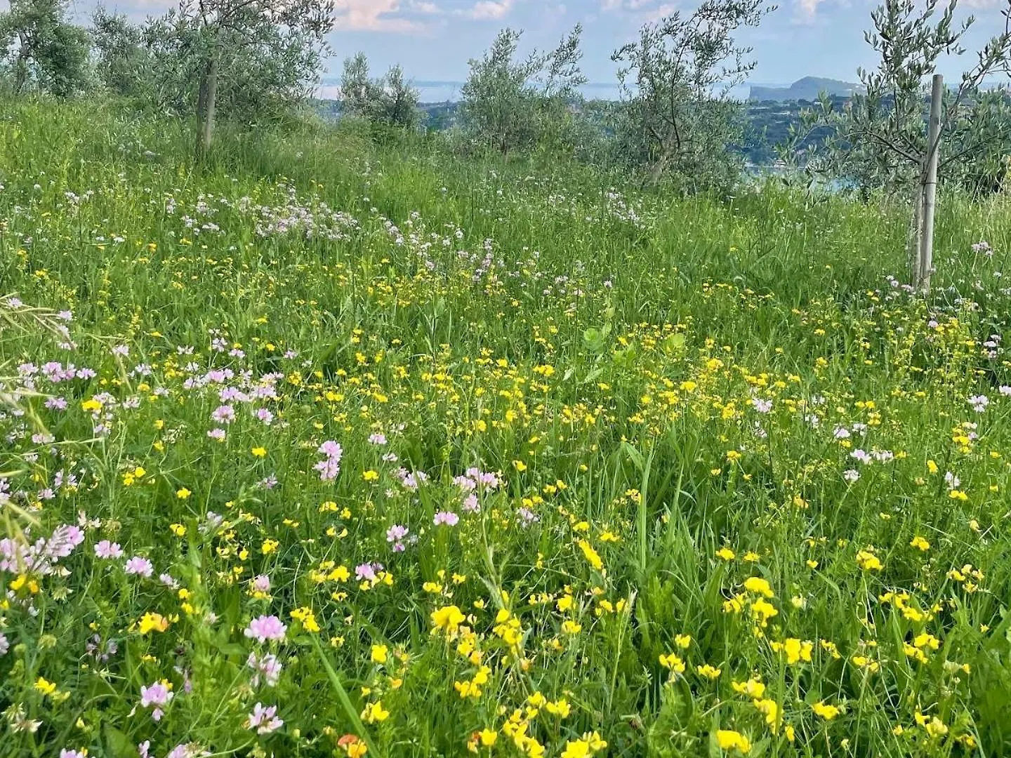 Agriturismo Valsiniga Salò Vakantieboerderij